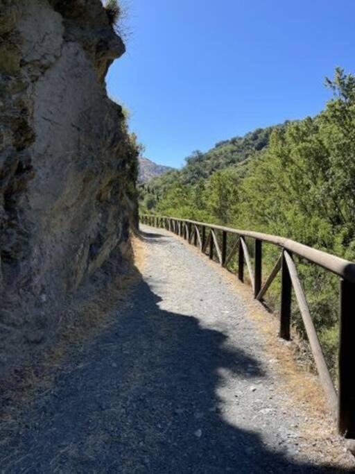Coqueto Estudio Junto A Sierra Nevada Güéjar Sierra Eksteriør billede
